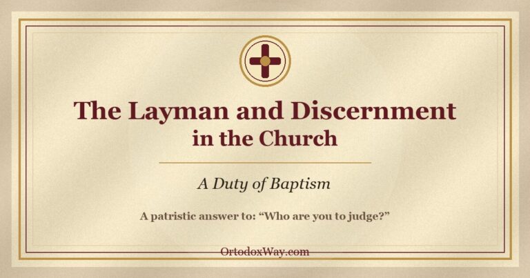 The Layman and Discernment in the Church: A Duty of Baptism